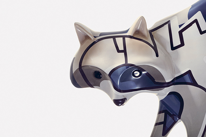 racoon_dettaglio2