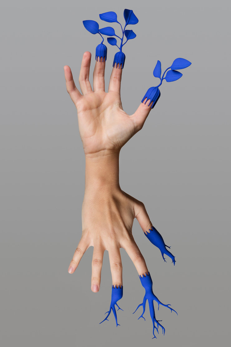 L+W_Metamorfosi_Vegetali_Desiderabilia4