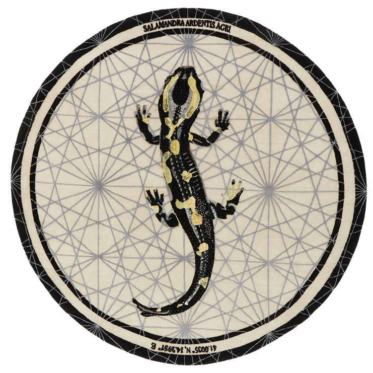 Lanzavecchia+Wai_Mutazioni2.0_Salamandra-Ardenits-Agri_for_NODUS