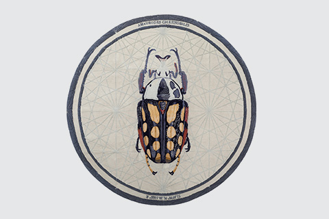 Fictional insects to remind us of our nuclear disasters, and wastes pollution