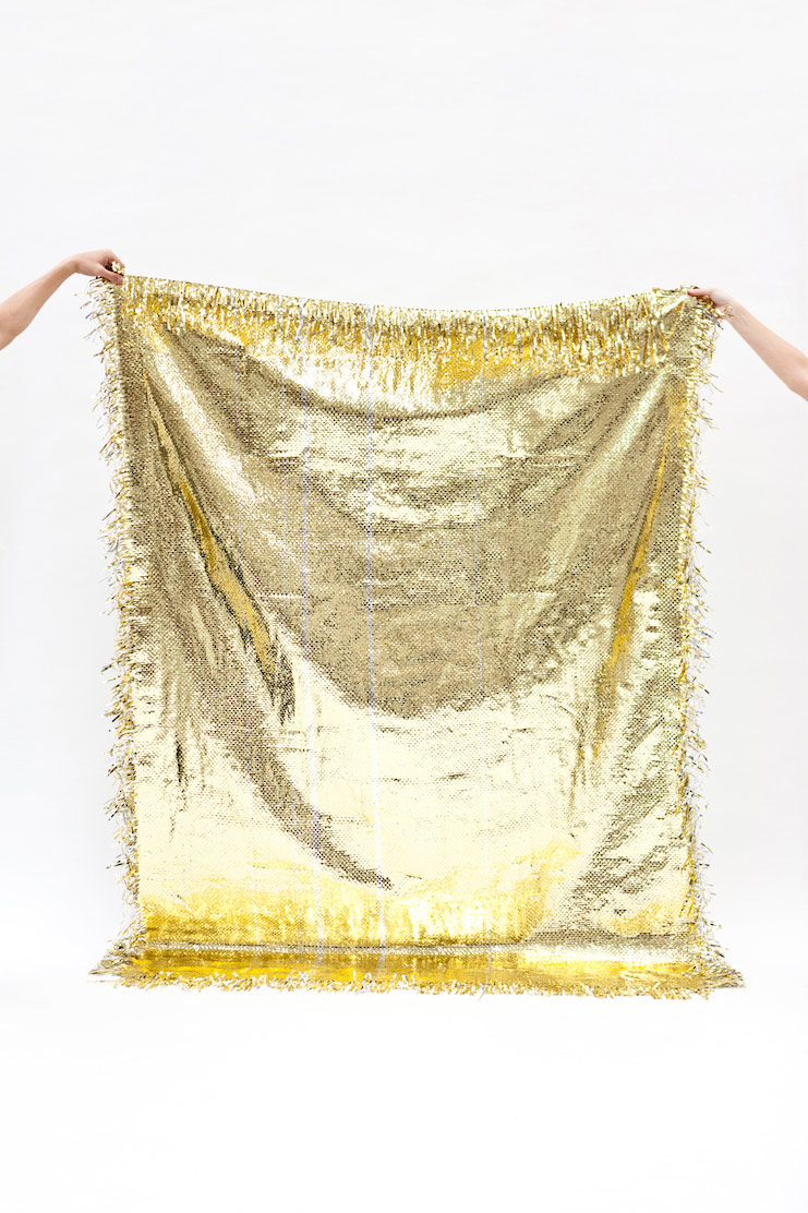 Lanzavecchia+Wai_Space_quilt_one_day_of_life_of_VM_3