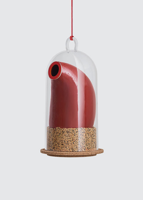 Reconsidered architecture for woodpeckers
