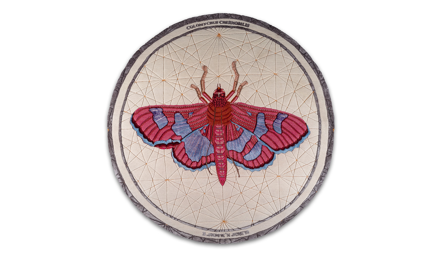 web_ColomychusChernobilis.rug_by.Lanzavecchia_for.NODUS_very.high.res_detail.8707