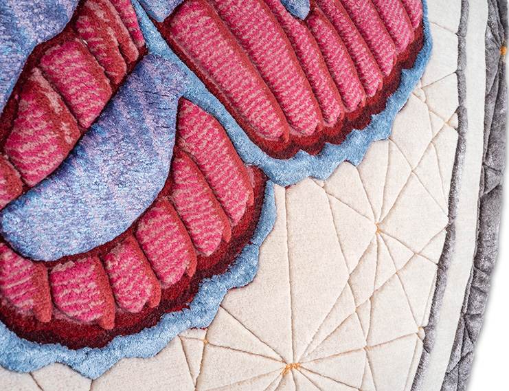 web_det_ColomychusChernobilis.rug_by.Lanzavecchia_for.NODUS