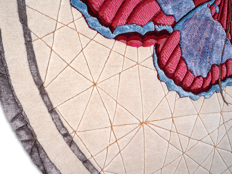 web_det_ColomychusChernobilis.rug_by.Lanzavecchia_for.NODUS_