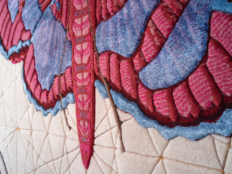 web_full_ColomychusChernobilis.rug_by.Lanzavecchia_for.NODUS